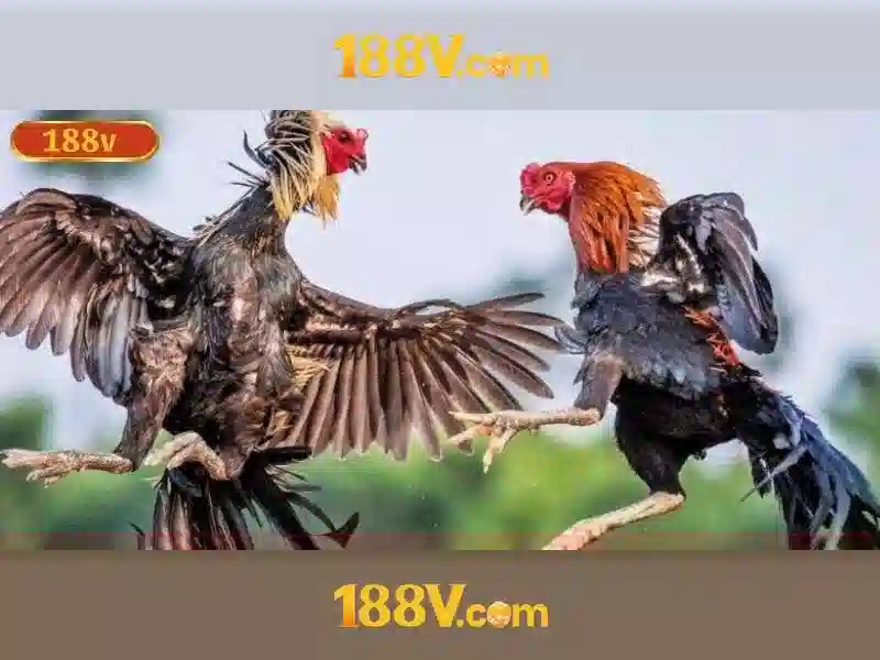 Khái niệm 188V