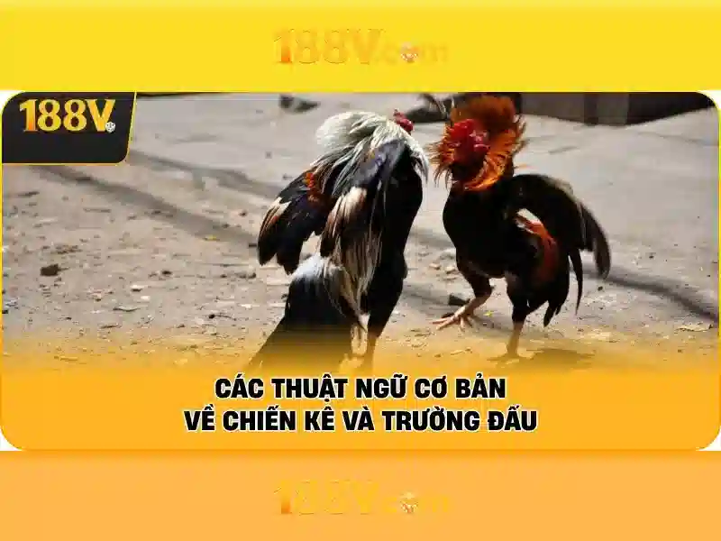 Các tính năng nổi bật\n\n<h>An ninh và quyền riêng tư</h>\n<p style=