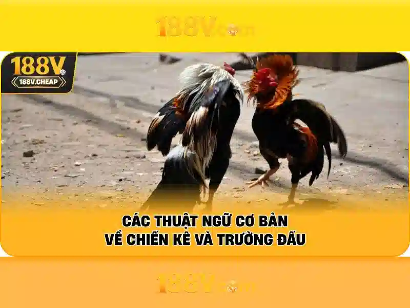 Khám phá 188v: khái niệm, ứng dụng và ý nghĩa