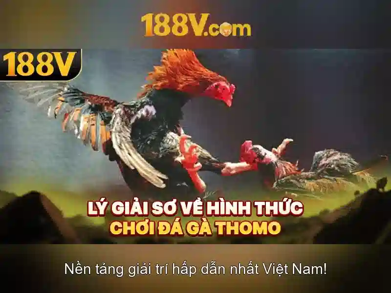 Ứng dụng và thách thức