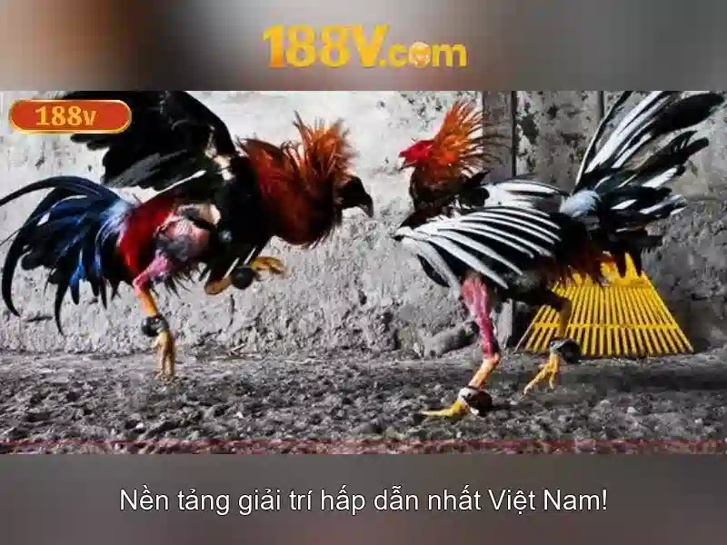 188v: một khía cạnh về số và công nghệ
